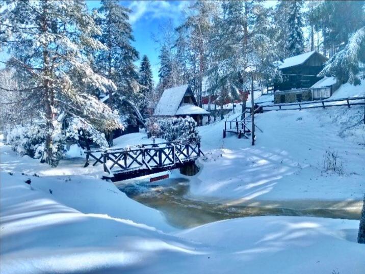 Dmk Villa Divčibare Екстериор снимка